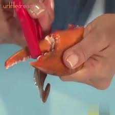 Pin On New Interesting Finding
