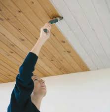 Tafer Streichen Wand Und Deckentafer Schweizer Woca Onlineshop Decke Renovierung Und Einrichtung Wande Streichen