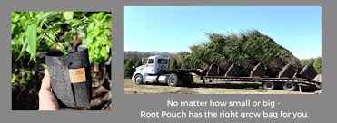 Grass roots v1.21.1 a lot of money. Root Pouch