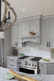 Historic Revival Transitional Kitchen Remodel Kitchen Remodel Transitional Kitchen Grey Painted Kitchen