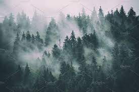 Misty Mountain Landscape Mountain Landscape Landscape Misty Forest