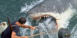 All orders are custom made and most ship worldwide within 24 hours. Jaws Just Turned 45 And The Internet Is Still In Love With The Steven Spielberg Film Cinemablend