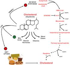 As the amount of cholesterol in your blood increases, so does the risk to your health. Even Cancer Cells Watch Their Cholesterol Sciencedirect