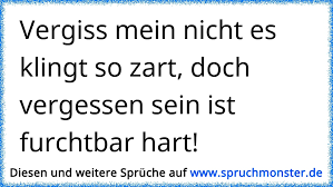 Vergiss Mein Nicht Es Klingt So Zart Doch Vergessen Sein Ist Furchtbar Hart Spruchmonster De