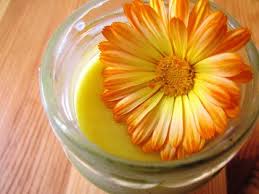Ringelblumensalbe Selbst Herstellen Bio Garten Reich Biologisch Gartnern Ringelblumensalbe Herstellen Ringelblumensalbe Rezept Salbe