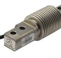 Bending Beam, 10kg Capacity • PTGlobal.com