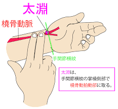 太淵（たいえん：LU9） さん