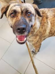 Adam MacIntyre (he/him) (@AdamMacIntyre)