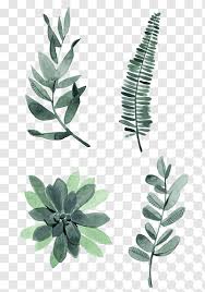 Watercolor Painting Drawing Plant Illustration Watercolor Leaves Four Assorted Green Leaves Free Png Plant Illustration Plant Drawing Leaf Illustration