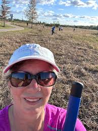 What is this volunteer plant with seed pods?