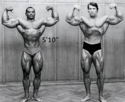 George butler, robert fiore | stars: How Tall Is Arnold Schwarzenegger His Real Height Revealed