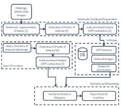 Flow Chart Of Our Scbir Download Scientific Diagram