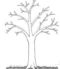 Trees Without Leaves Coloring Pages Tree Coloring Page Leaf Coloring Page Tree Outline