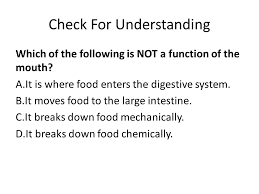 Objective Swbat Relate Organs In The Digestive System To Their Functions Ppt Download