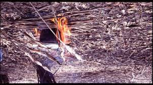 You can do this with cod t. Cooking Fish On A Campfire In The Dry Swamp Forest August 1999 Download Scientific Diagram