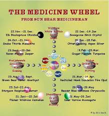 sun bear medicine wheel diagram