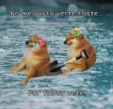  53 Ide Doge Dan Cheems Di 2021 Anjing Lucu Gambar