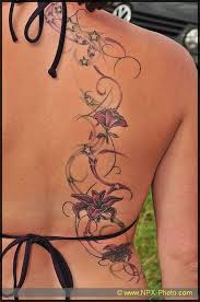 There are about 300 species of clematis. 80 Attractive Lily Tattoos
