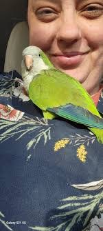 Bill Gerdes's Instagram, Twitter & Facebook