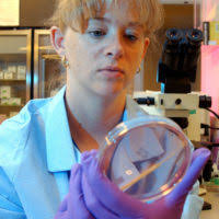 U.S. Air Force Staff Sgt. Thomas C. Sullivan Jr., a laboratory technician  assigned to the 319th Medical Support Squadron, places a medical sample  into a test tube rack at the medical laboratory