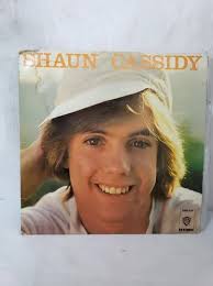 Shaun Cassidy Warner Bros Disco Lp Vinilo Acetato