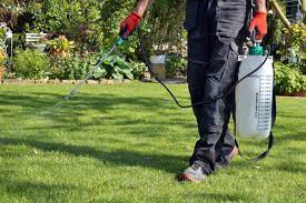 Gainesville fl exterminator, pest control & termite inspector. Florida Pest Control Review 2021 This Old House