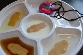 Cooking changes ingredients in ways that will amaze your little ones. The Gingerbread Man Science Experiments Science For Kids