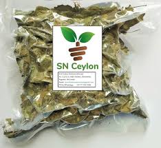 Image result for Coleus hadiensis