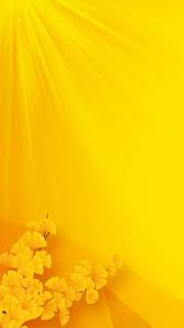 Yellow Backgrounds With Flowers 40 Photos Yellow Flower Wallpaper Iphone Wallpaper Yellow Flower Background Wallpaper