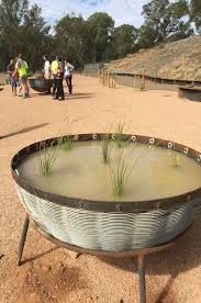 Australian Botanic Garden Shepparton Landscape Design Botanical Gardens Garden Inspiration