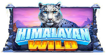 Play Himalayan Wild Slot Demo by Pragmatic Play