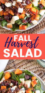 Fall Harvest Salad Recipe Autumn Salad Recipes Delicious Salads Harvest Salad