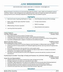 University Professor Resume Examples