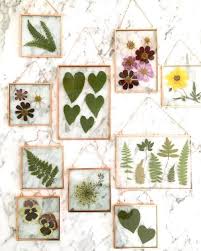 Maybe you would like to learn more about one of these? Pressed Leaf And Flower Wall Hangings And Coasters Hanging Flower Wall Pressed Flower Art Flowers Diy
