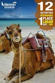 Book the most popular camel riding tours in marrakech. Maroma Adventures Maromaadventure Profile Pinterest
