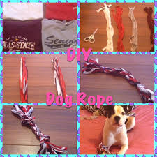 Pin By Alison Bohn On Church Diy Rope Toys For Dogs Diy Dog Stuff Diy Dog Toys
