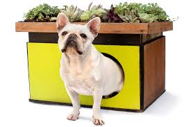 Instant cocooning avec la gamme à l'argan bio fleurance nature. Luxury Doghouses And The Dogs That Couldn T Care Less The New York Times