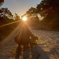 Wombat Awareness Organisation