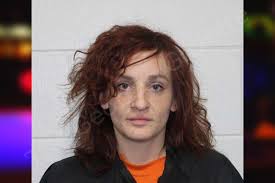 Tina Darnell — Habersham County Jail Bookings