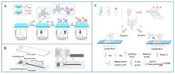 Image result for Modified Apt Test