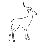 Check spelling or type a new query. How To Draw An Impala