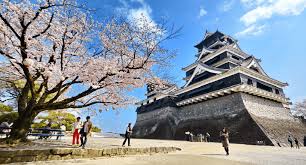Wisata negri sakura bayat / mekar bunga bungur sakura bikin balai kota solo serasa musim semi di jepang solopos com. Wisata Jogja Bunga Sakura Paling Trending Gerai News
