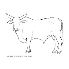 Some longhorn cattle coloring may be available for free. Bucking Bull Line Art Bull Cow Bucking Bulls Cow Coloring Pages