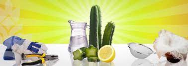 I don't have a lot of san pedro but would like to try this method tonight/tomorrow. An Easy Mescaline Tea Recipe By Zativo Zativo