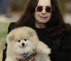 Bathroom stalker behavior in children