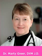 Canine Bladder Stones