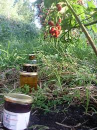Arboriculteurs Gironde 33 Fruits En Vente Directe Producteur
