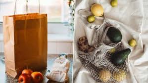 International Plastic Bag Free Day 2020 From Jute To Paper 5 Eco Friendly Alternatives To Plastic Bags To Adopt For A Greener Planet Latestly