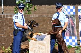 Honouring Our Four Legged Friends Qps News Service Animal Work With Animals Four Legged