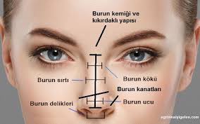 Agrisinaiyigelen Com Nbspthis Website Is For Sale Nbspagrisinaiyigelen Resources And Information Siyah Noktalar Cilt Bakimi Tuyolari Cilt Urunleri